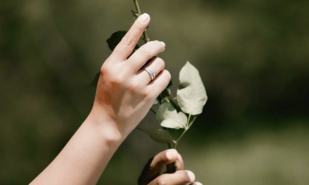 Building Equitable Vampyre/Donor Relationships