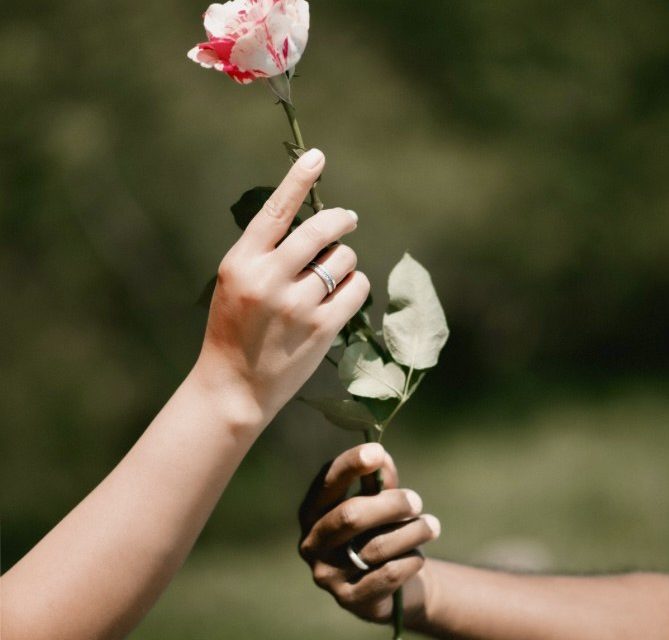 Building Equitable Vampyre/Donor Relationships