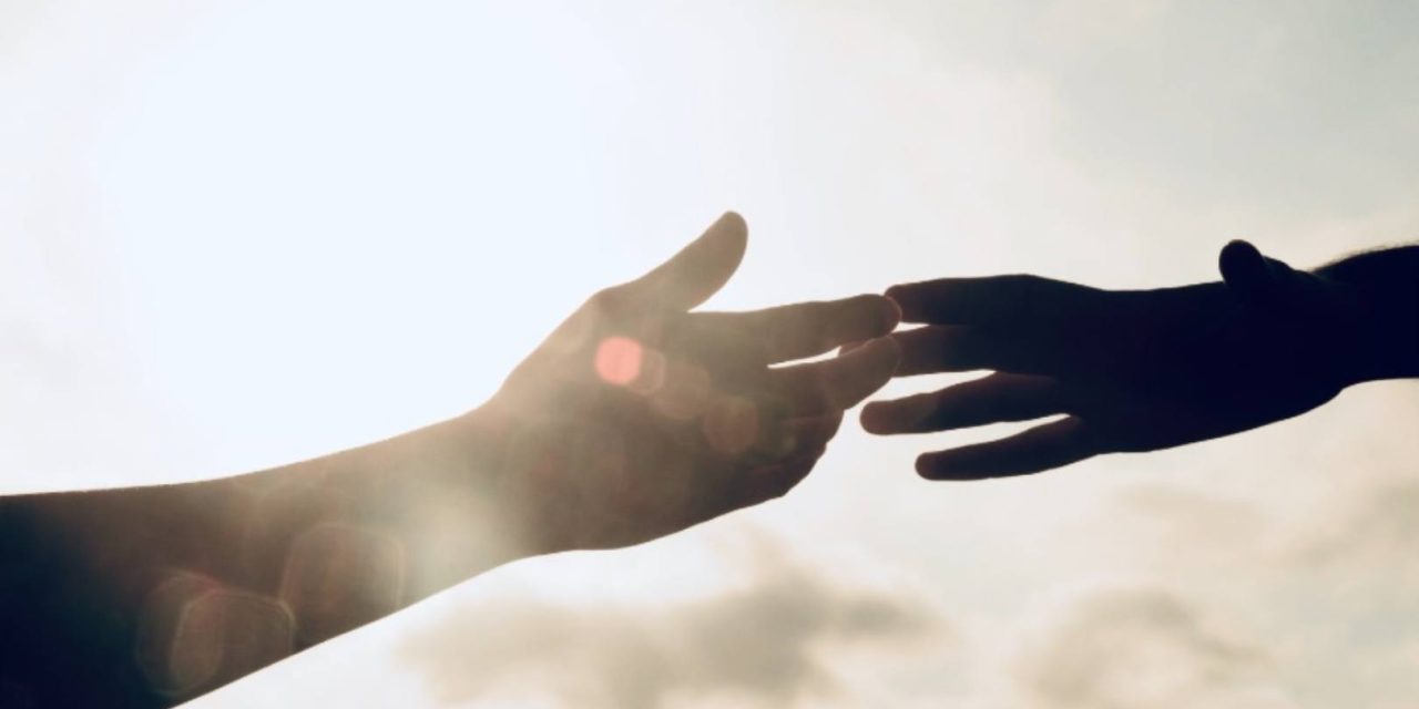 Beyond Awakening: The Reality of my Donor Relationships