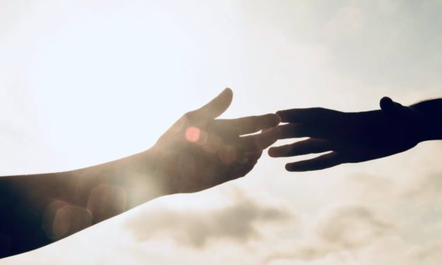 Beyond Awakening: The Reality of my Donor Relationships