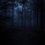 Protecting the Darkness – A Vampyre’s Summer Solstice Ritual