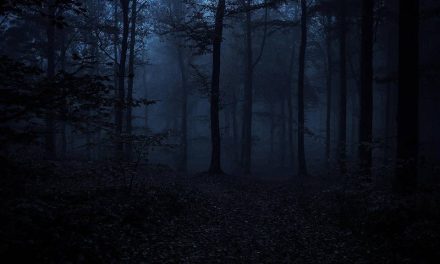 Protecting the Darkness – A Vampyre’s Summer Solstice Ritual