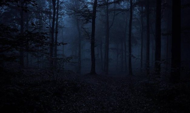 Protecting the Darkness – A Vampyre’s Summer Solstice Ritual